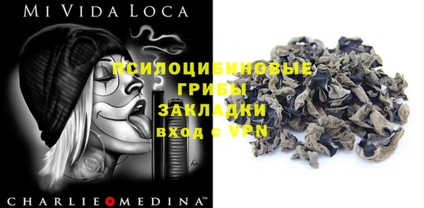 PSILOCYBIN Алзамай