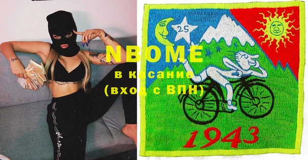 PSILOCYBIN Алзамай
