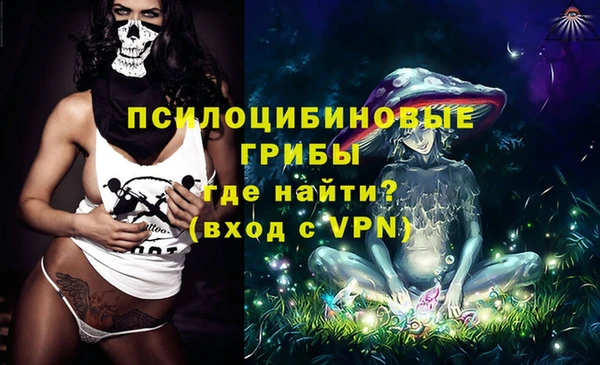 индика Алексин