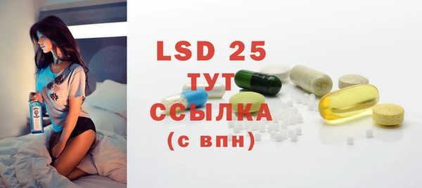 PSILOCYBIN Алзамай