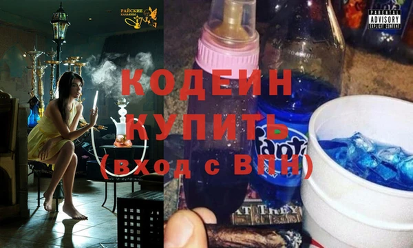 PSILOCYBIN Алзамай