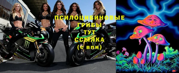 трава Алексеевка