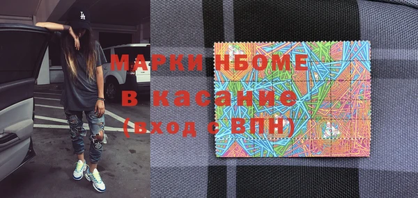 индика Алексин